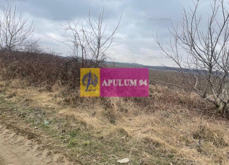 Teren Splaiul Unirii- Confort City.